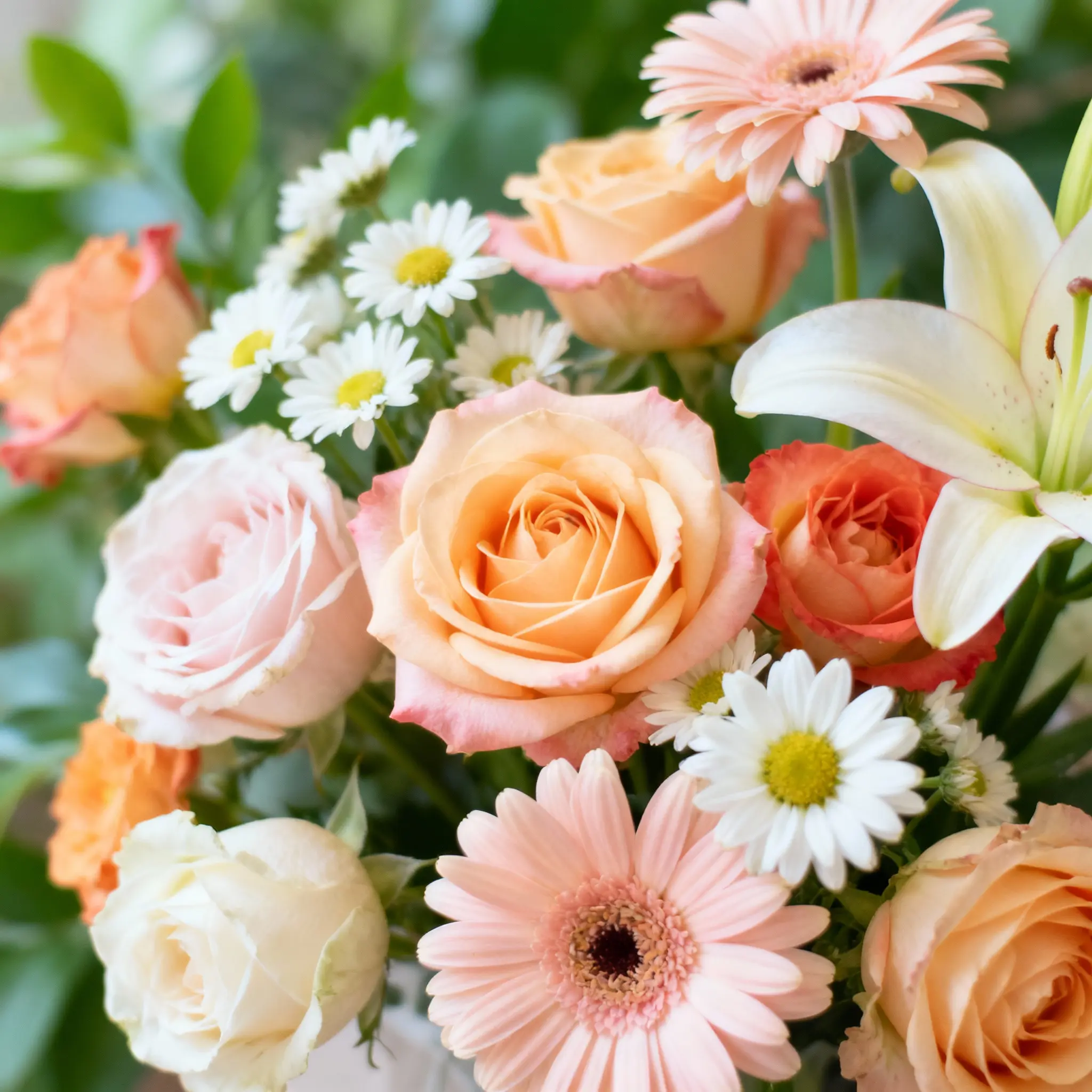 Luxury Premium Arrangement